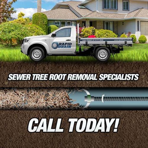 Sewer Tree Root Removal Specialists In Kuraby